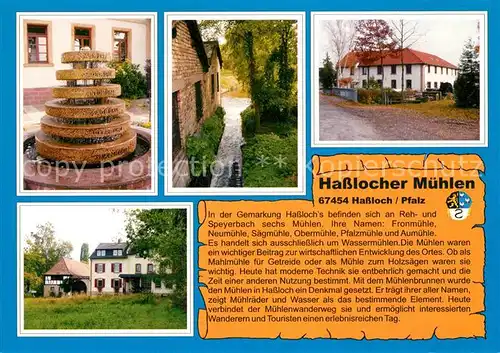 AK / Ansichtskarte Hassloch_Pfalz Hasslocher Muehlen Hassloch Pfalz