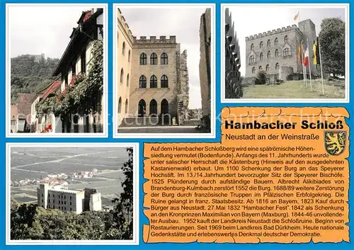 AK / Ansichtskarte Hambach_Neustadt Hambacher Schloss Details Hambach_Neustadt