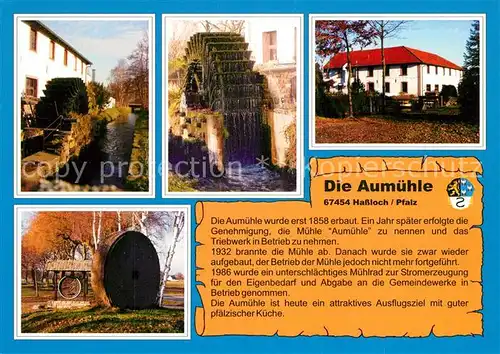 AK / Ansichtskarte Hassloch_Pfalz Die Aumuehle Details Hassloch Pfalz