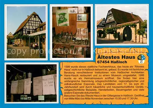 AK / Ansichtskarte Hassloch_Pfalz aeltestes Haus Details Hassloch Pfalz