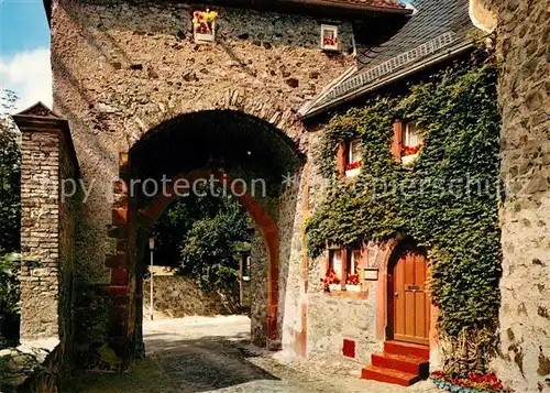 AK / Ansichtskarte Friedberg_Hessen Noerdliches Burgtor Friedberg Hessen