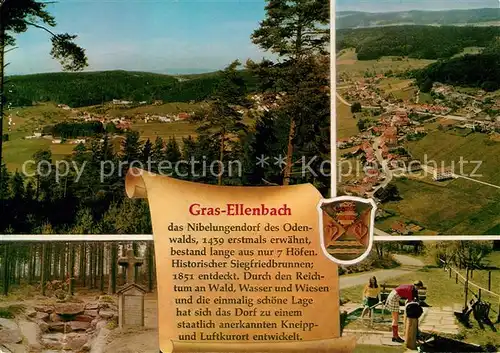 AK / Ansichtskarte Gras Ellenbach Panorama Fliegeraufnahme Siegfriedbrunnen Park Gras Ellenbach