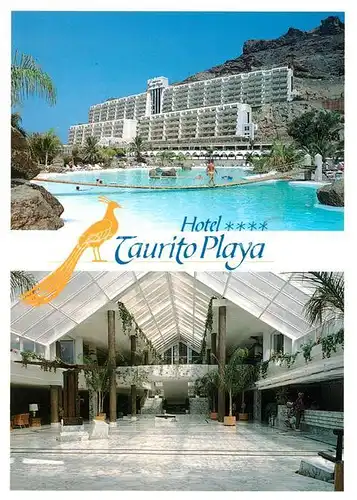 AK / Ansichtskarte Mogan Hotel Taurito Playa Mogan
