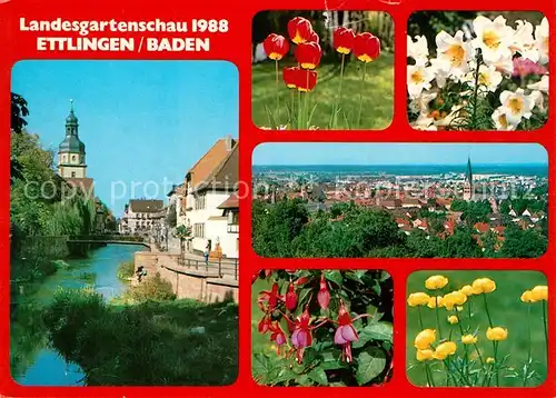 AK / Ansichtskarte Ettlingen Partie an der Alb Blumen Stadtpanorama Ettlingen