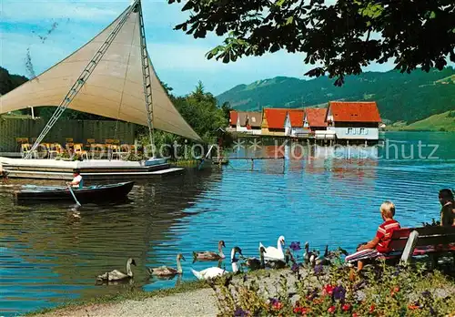AK / Ansichtskarte Immenstadt_Allgaeu Uferpartie am Alpsee Schwaene Immenstadt_Allgaeu