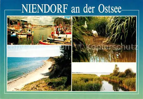 AK / Ansichtskarte Niendorf_Ostseebad Hafenansicht Steilufer Kueste Vogelgarten Hermann Loens Blick Niendorf_Ostseebad