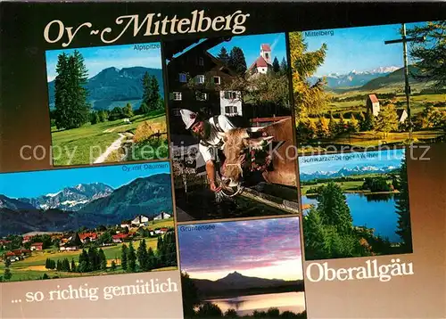 AK / Ansichtskarte Oy Mittelberg Alpspitze Mittelberg Schwarzenberger Weiher Gruentensee Daumen Oy Mittelberg