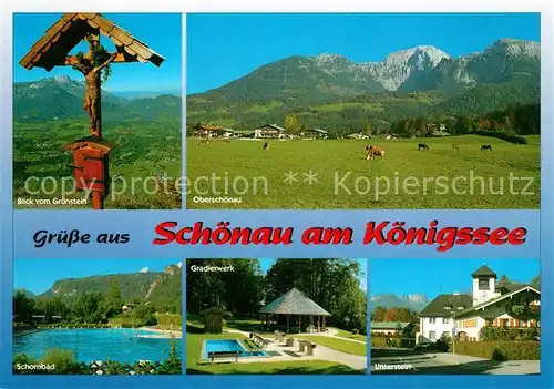 AK / Ansichtskarte Schoenau_Koenigssee Gruenstein Kuehe Unterstein Freibad Schornbad Schoenau Koenigssee