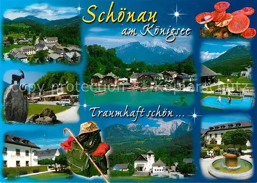 AK / Ansichtskarte Schoenau_Koenigssee Fliegeraufnahme Tretanlage Brunnen  Schoenau Koenigssee