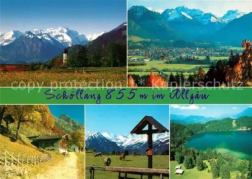 AK / Ansichtskarte Schoellang Seepartie Fliegeraufnahme Kuehe Schoellang