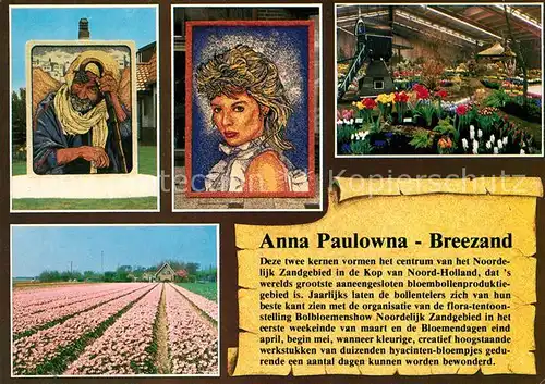 AK / Ansichtskarte Breezand Anna Paulowna Bloemenbollenproduktiegebied Breezand