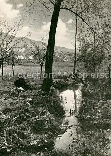 AK / Ansichtskarte Zierenberg Partie im Warmetal Zierenberg