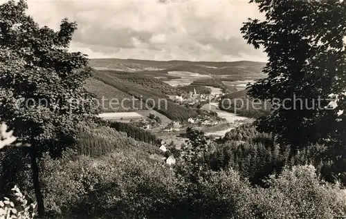 AK / Ansichtskarte Sauerland Blick ins Hundemtal Sauerland