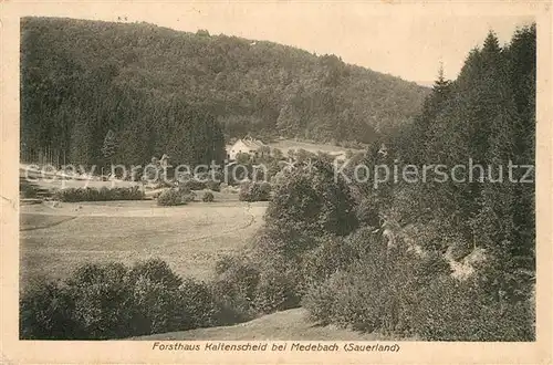 AK / Ansichtskarte Medebach Forsthaus Kaltenscheid Medebach