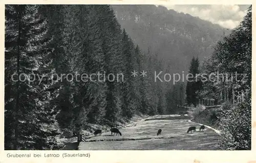 AK / Ansichtskarte Latrop_Sauerland Partie im Grubental Latrop_Sauerland