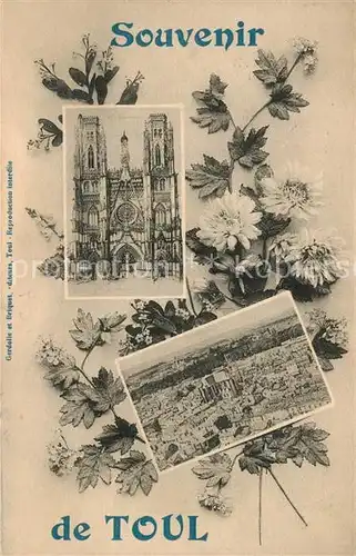 AK / Ansichtskarte Toul_Meurthe et Moselle_Lothringen Kathedrale Panorama Toul_Meurthe et Moselle
