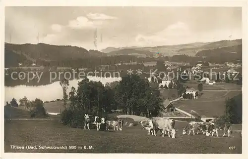 AK / Ansichtskarte Titisee Panorama Titisee