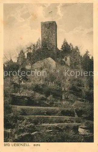 AK / Ansichtskarte Bad_Liebenzell Burg Bad_Liebenzell