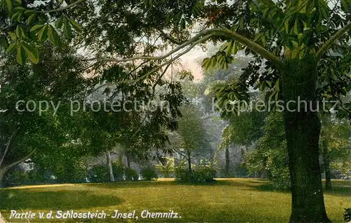 AK / Ansichtskarte Chemnitz Partie vor dem Schlossteich Insel Chemnitz