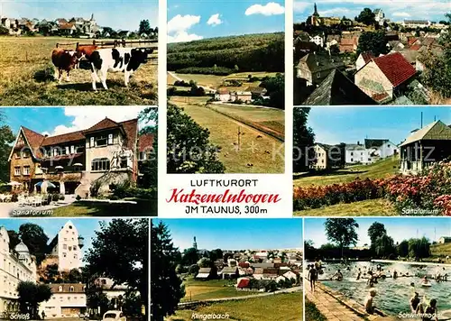 AK / Ansichtskarte Katzenelnbogen Viehweide Kuehe Sanatorium Schloss Landschaftspanorama Schwimmbad Klingelbach Katzenelnbogen