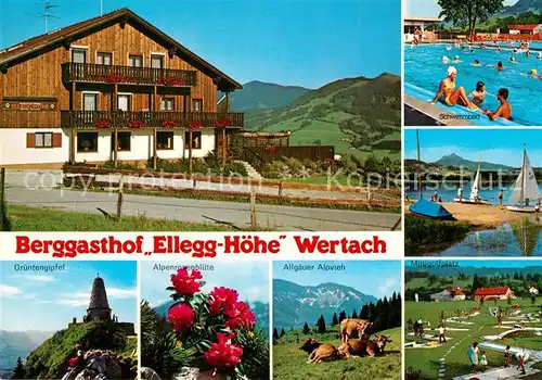 AK / Ansichtskarte Oberellegg_Wertach Berggasthof Ellegg Hoehe Gruentengipfel Alpenrosenbluete Allgaeuer Alpvieh Minigolf Segeln Schwimmbad 
