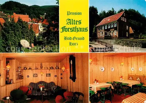 AK / Ansichtskarte Bad_Grund Pension Altes Forsthaus Bad_Grund