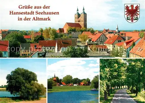 AK / Ansichtskarte Seehausen_Altmark Elbaue Losenrade Beuster Lindenallee Geestgottberg Seehausen Altmark