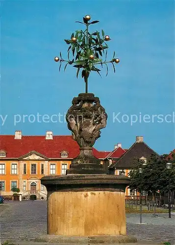 AK / Ansichtskarte Oranienbaum Oraniermonument Oranienbaum