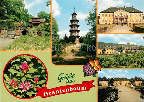AK / Ansichtskarte Oranienbaum Chinesisches Teehaeuschen Rhododendron Schlosspark Pagode  Oranienbaum