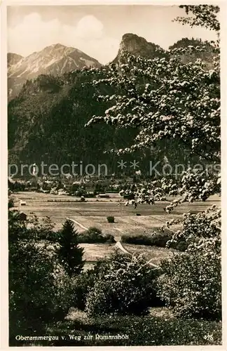 AK / Ansichtskarte Oberammergau Weg zur Romanshoeh Oberammergau