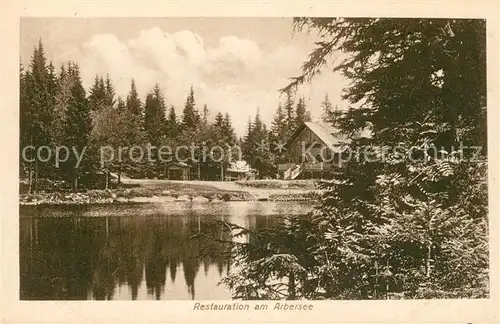 AK / Ansichtskarte Arbersee Restauration am See Arbersee