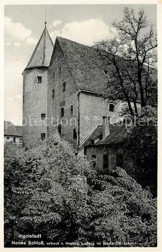 AK / Ansichtskarte Ingolstadt_Donau Neues Schloss Ingolstadt_Donau