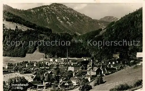 AK / Ansichtskarte Immenstadt_Allgaeu Panorama Immenstadt_Allgaeu