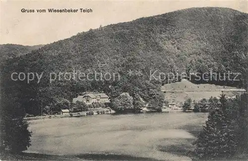 AK / Ansichtskarte Bad_Lauterberg Wiesenbeker Teich Bad_Lauterberg