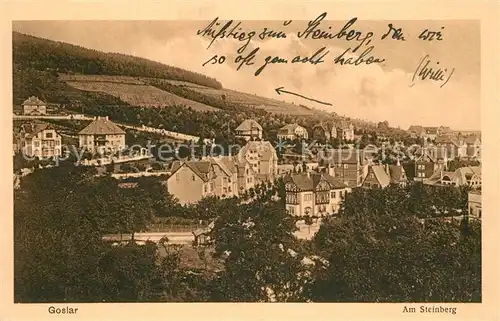 AK / Ansichtskarte Goslar Am Steinberg Goslar