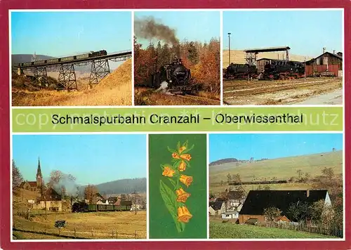 AK / Ansichtskarte Lokomotive Schmalspurbahn Cranzahl Oberwiesenthal Lokomotive