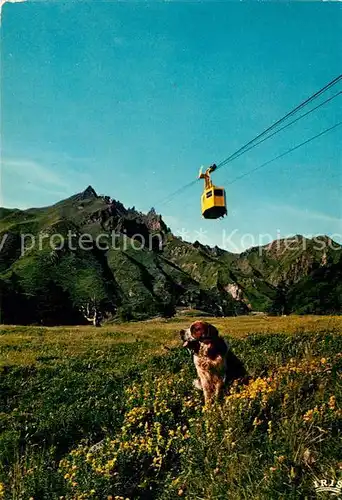 AK / Ansichtskarte Seilbahn Bernhardiner Auvergne Le Sancy  Seilbahn