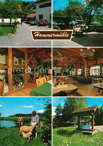 AK / Ansichtskarte Lautenbach_Fichtenau Gasthof Hammermuehle Lautenbach Fichtenau