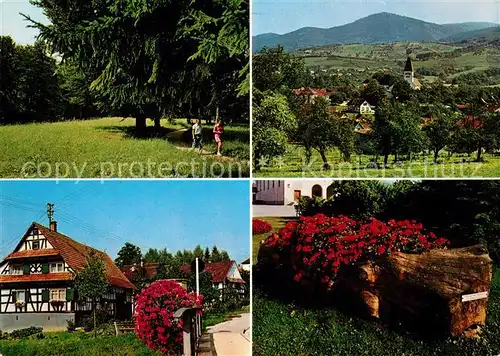 AK / Ansichtskarte Obersasbach  Obersasbach