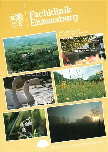 AK / Ansichtskarte Hopfen_See Fachklinik Enzensberg Schwaene Maigloeckchen Blumenwiese Fliegeraufnahme Hopfen_See