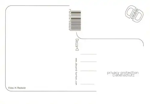 AK / Ansichtskarte Neubrandenburg Stadt der vier Tore am Tollensesee Neubrandenburg