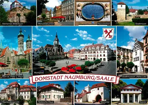 AK / Ansichtskarte Naumburg_Saale Domstadt Marktplatz Steinernes Bilderbuch Wenzelsbrunnen Hauszeichen Stadtmauer Nitzsche Haus Marientor Salztor Naumburg_Saale