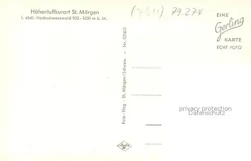 AK / Ansichtskarte St_Maergen Panorama Rinderherde St_Maergen