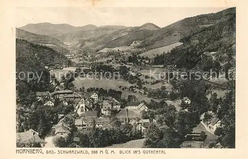 AK / Ansichtskarte Hornberg_Schwarzwald Blick ins Gutachtal Hornberg Schwarzwald