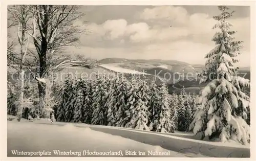 AK / Ansichtskarte Winterberg_Hochsauerland Blick ins Nuhnetal Winterberg_Hochsauerland