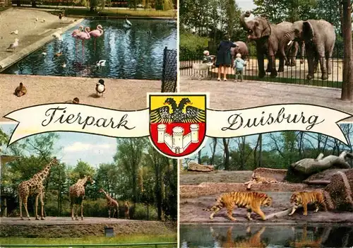 AK / Ansichtskarte Zoo Tierpark Duisburg Flamingo Elefant Giraffe Tiger  Zoo