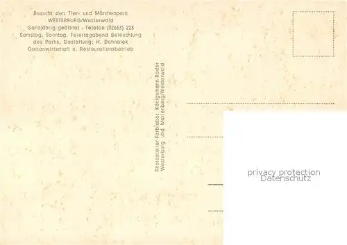 AK / Ansichtskarte Westerburg_Westerwald Panorama Eisenbahnbruecke Tier  und Maerchenpark Westerburg_Westerwald
