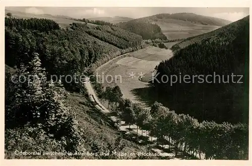 AK / Ansichtskarte Neuastenberg Odeborntal Neuastenberg