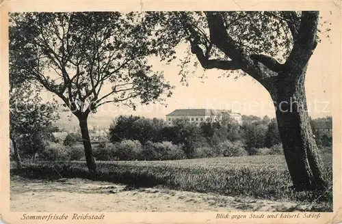 AK / Ansichtskarte Reichstadt_Tschechien Stadt und kaiserliches Schloss Reichstadt_Tschechien