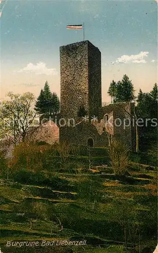 AK / Ansichtskarte Bad_Liebenzell Burgruine Bad_Liebenzell